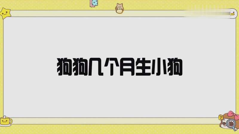 狗几个月下崽,俗话说的猫三狗四,真的靠谱吗,大自然,呆萌,好看视频