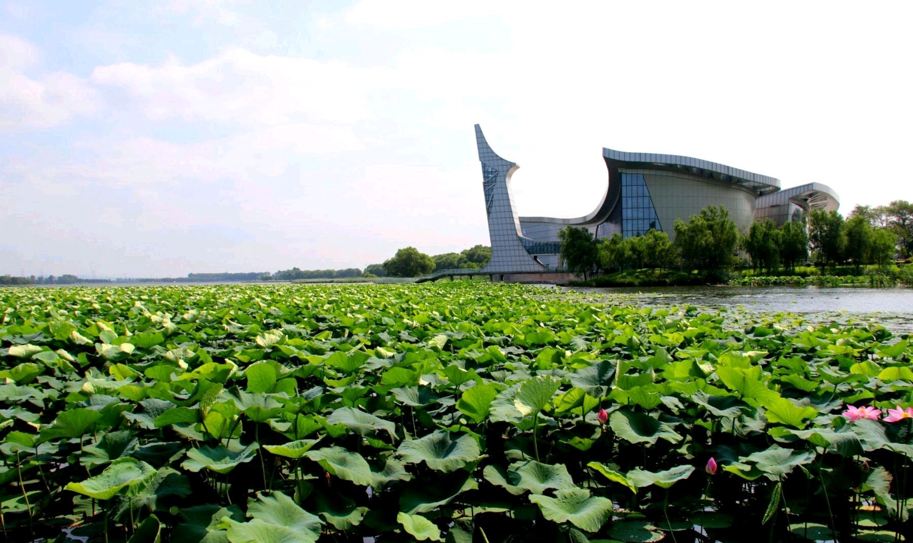 东北水城:铁岭凡河新区