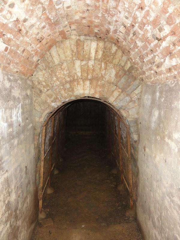 湖南发现千年古墓,出土一件"玉樽",专家却为它争得面红耳赤