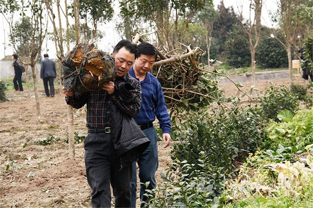 农村老话"一人不进庙,二人不看井,三人不抱树,讲的是什么?