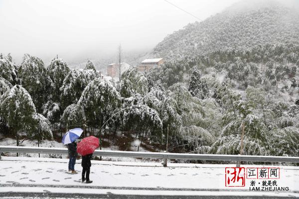 临安天目山镇下起鹅毛大雪