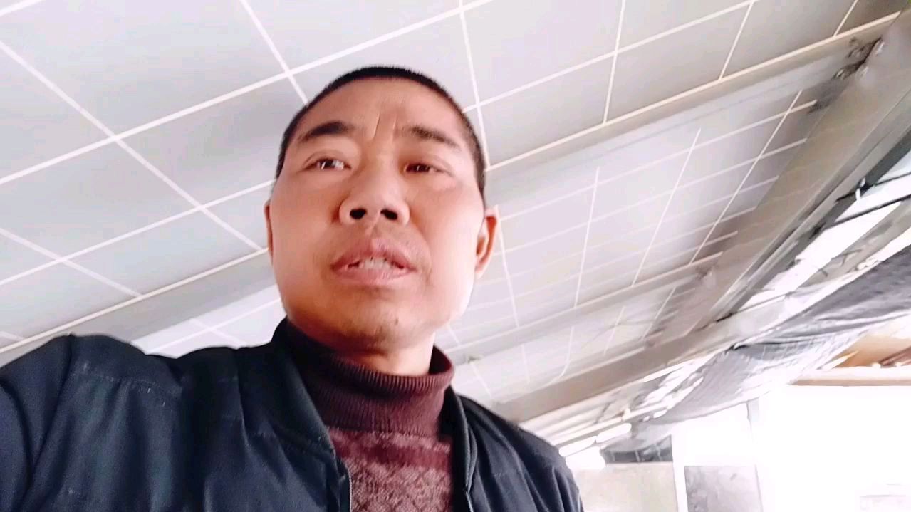 正常的小鸡看起来都不一样,灵活度高长的也快