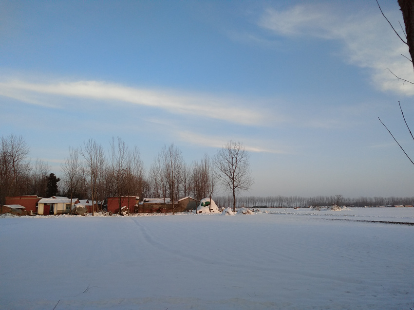农村冬天麦地图片图片