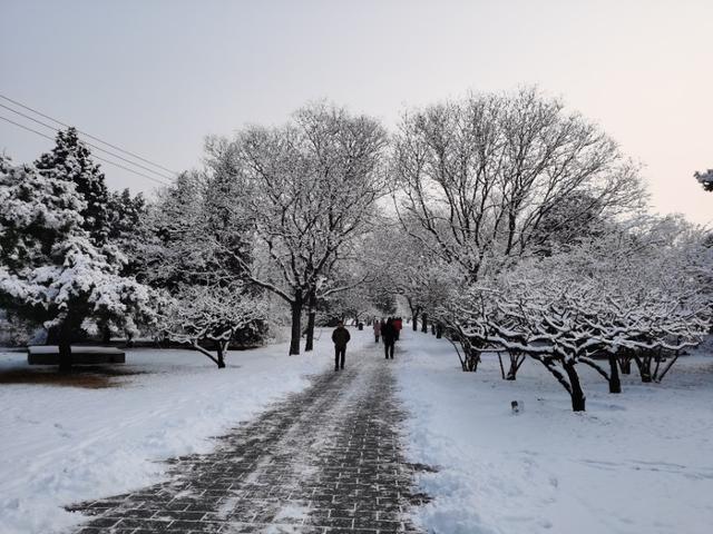 雪漠香山 净如琉璃 晏游雪景美爆朋友圈