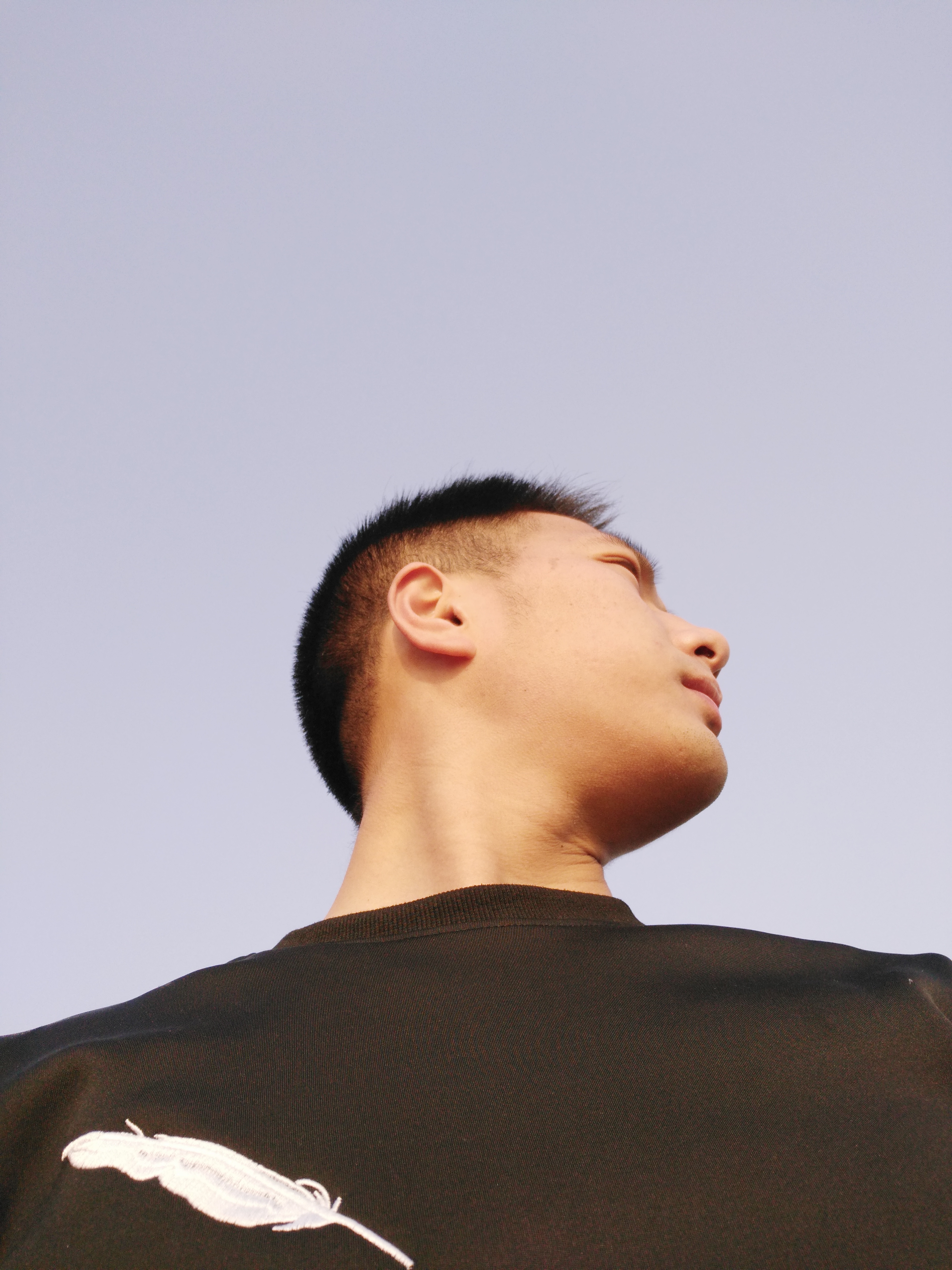 网络抖音上比较火的苏大强梗介绍