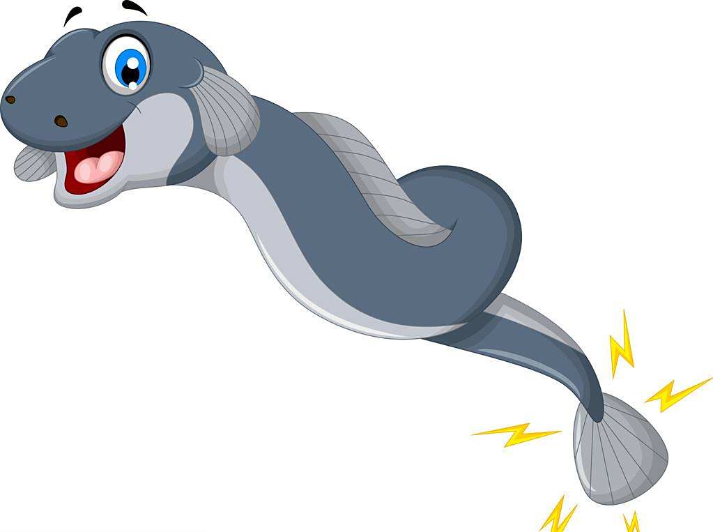 电鳗怕电吗?老外将电鳗放进水里后通电,场面失控了