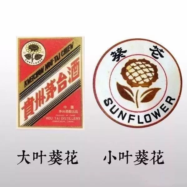 大叶葵花茅台图片