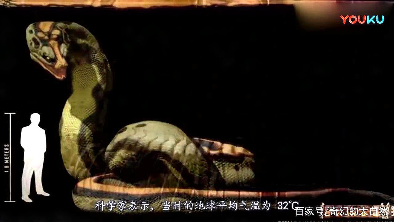 体长31米海洋巨蟒是否真的存在?