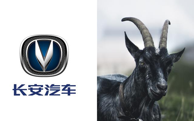 知道车标灵感来源后,让人不忍直视!如:吉利是腹肌,魏是旗杆