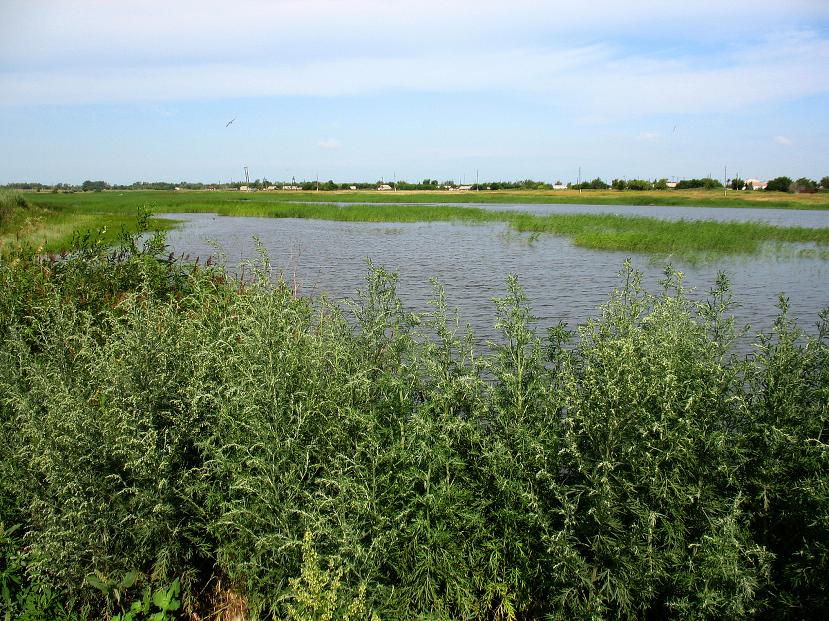 穿越时空的旅行# 朔州桑干河湿地公园,是自然与生态的完美融合.