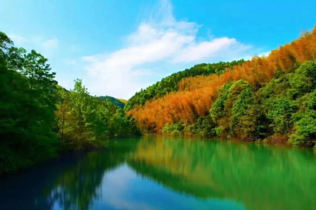 万年台景区 万年台风景区位于无为县鹤毛乡境内,面积约8平方公里,目前