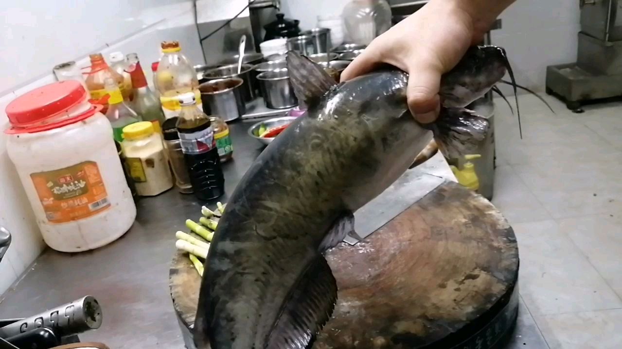 朋友带了条江团和竹笋来做麻辣鱼火锅,本不收钱,走时却放了100