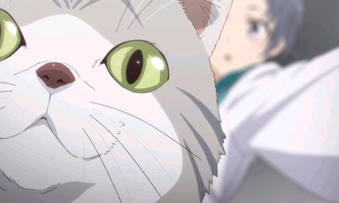 《猫妖的诱惑》借鉴痕迹过于明显,b站粉丝不干了,评分降至2.7分