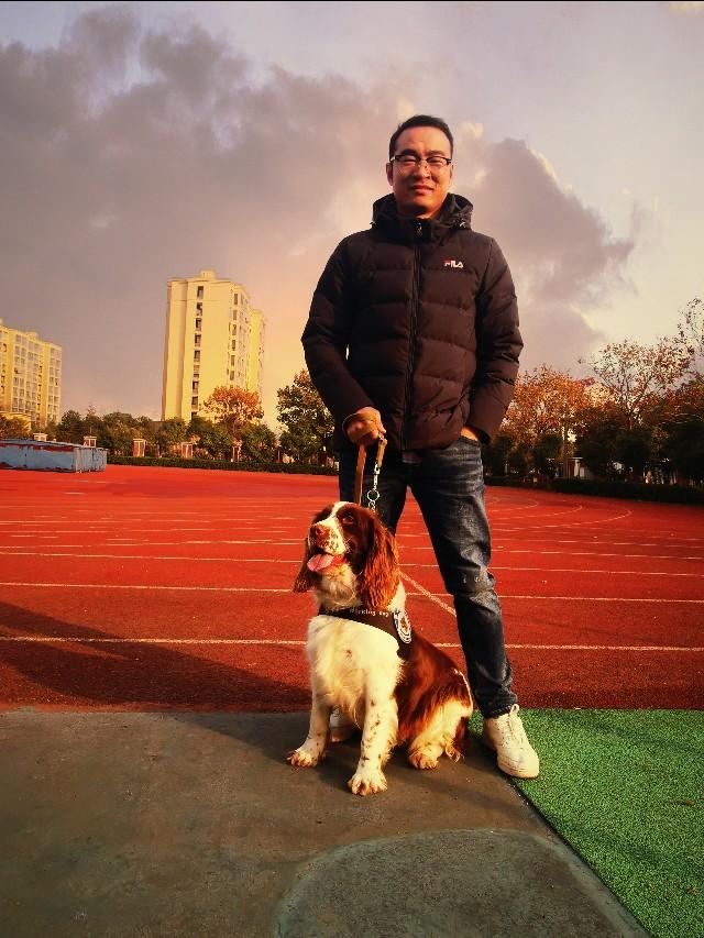 奋战在一线的缉毒犬是一只史宾格犬,可爱可爱!