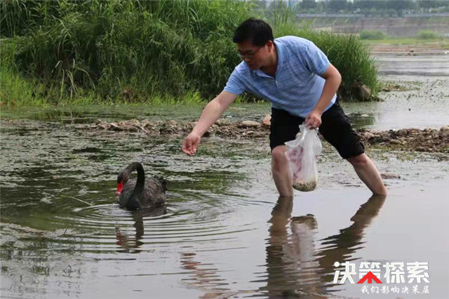 内乡毛铁红图片