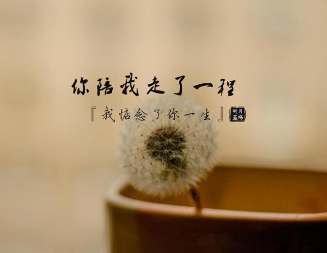 因为彼此爱过,曾经陪伴这一程,我要说声谢谢你