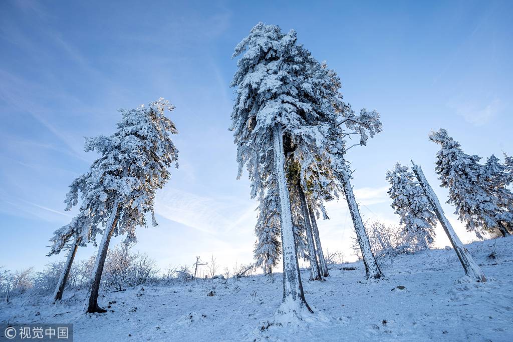 德国施米滕陶努斯山,当地一片冰天雪地.	 图片来源:imago/视觉中国