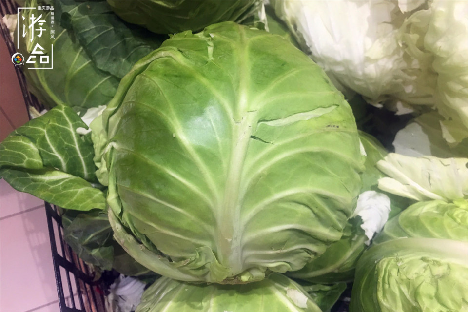 包包白 - 2020年最新商品信息聚合专区 - 百度爱采购