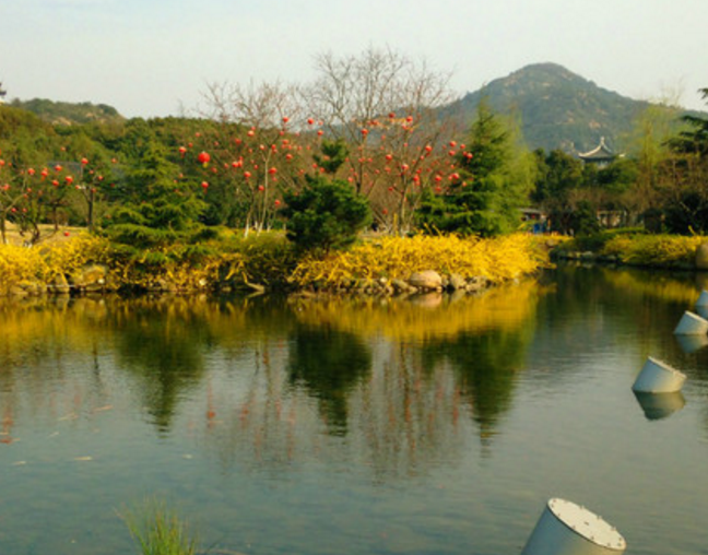 旅遊:蘇州白馬澗生態園——原生態