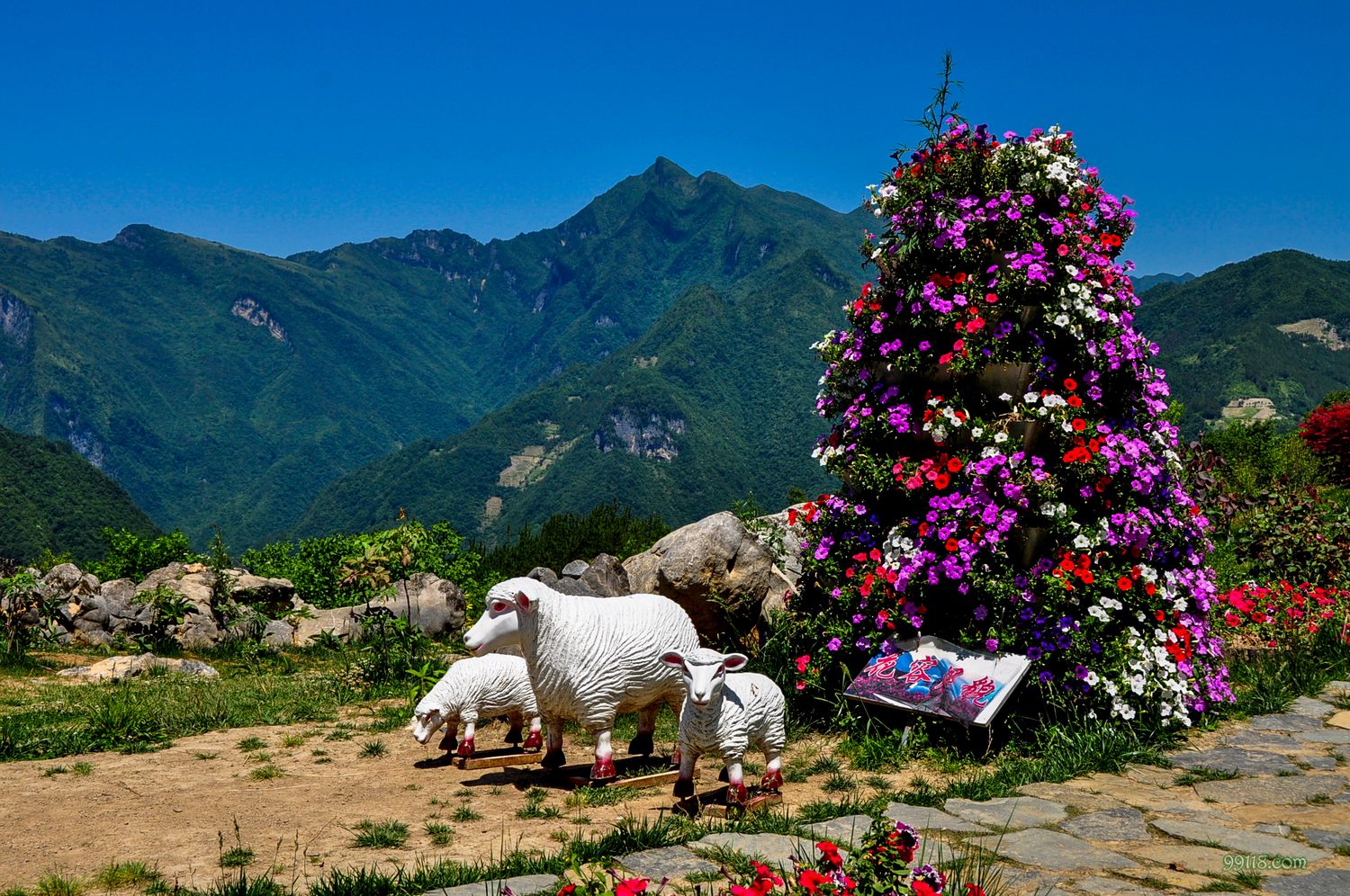 重庆景点:城口县九重花岭