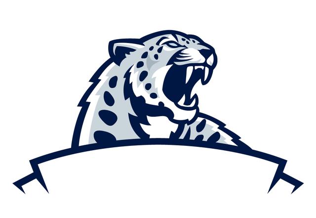 新疆天山雪豹足球俱乐部启用新版logo