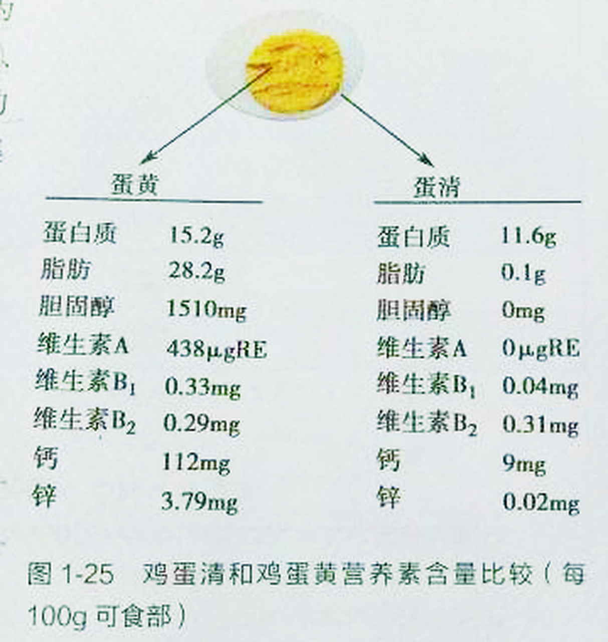 【吃鸡蛋不要丢蛋黄】 鸡蛋蛋清里的主要营养物质是蛋白质,其它营养素