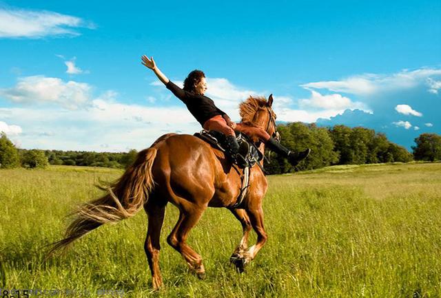呼市大学生惊现街上骑马,东北人按耐不住骑东北虎出门!