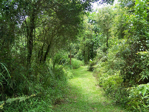 草地上闪烁着晶莹的露珠,散发着青草,鲜花和湿润的泥土的芳香.