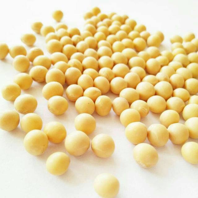 黄豆炖猪蹄,汤色奶白无腥味,好喝极了