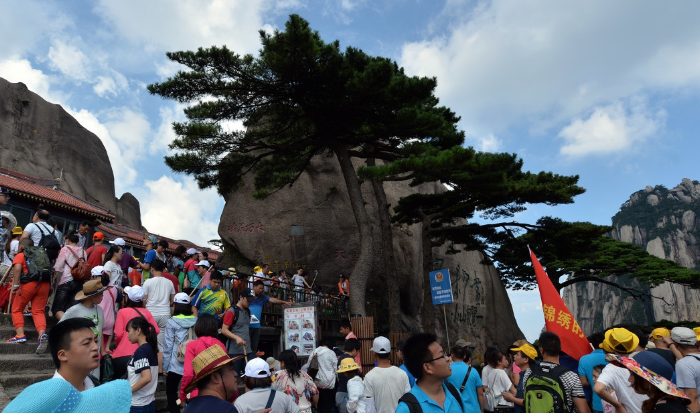 节假日,"中国式旅游",除了赶路就是看人