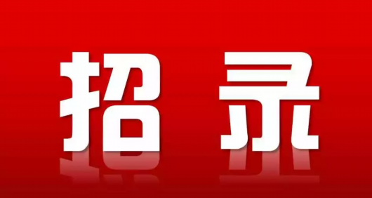 找工作 崇明这个镇招村居后备干部-区域频道-东方网