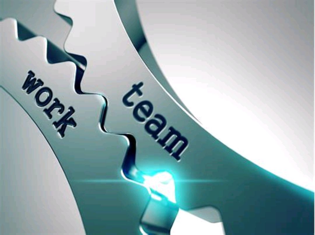 每日一句英译英:team spirit是什么意思?