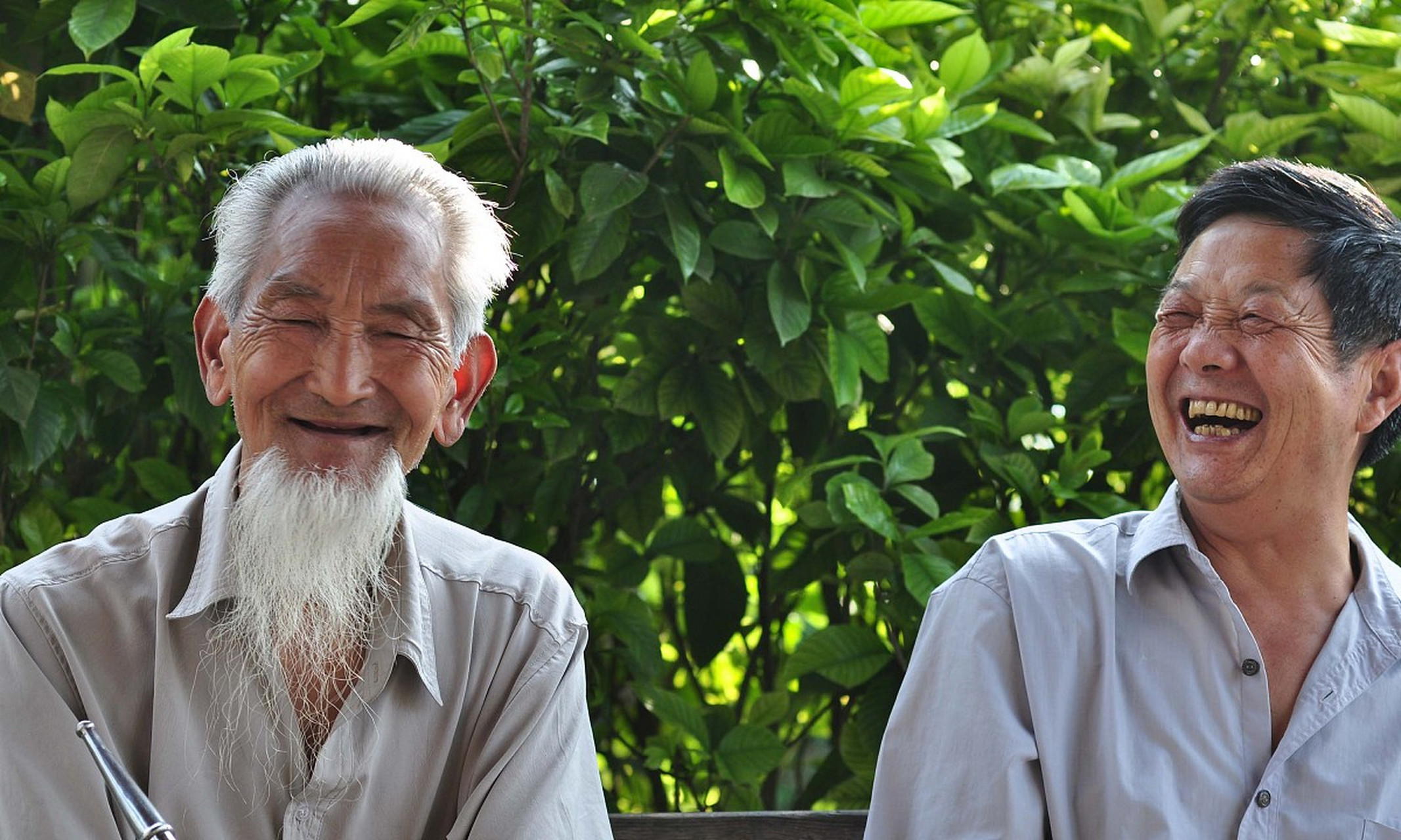 八十老翁养生歌 第一首:长生有道可精通,耄耋期颐攀寿星.