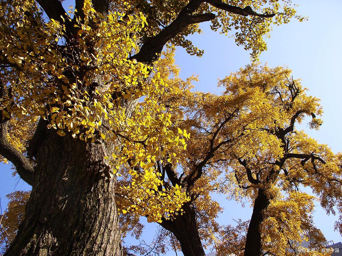 泰州市旅游攻略小手册