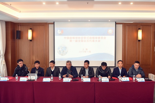 中国曲棍球协会软式曲棍球委员会成立