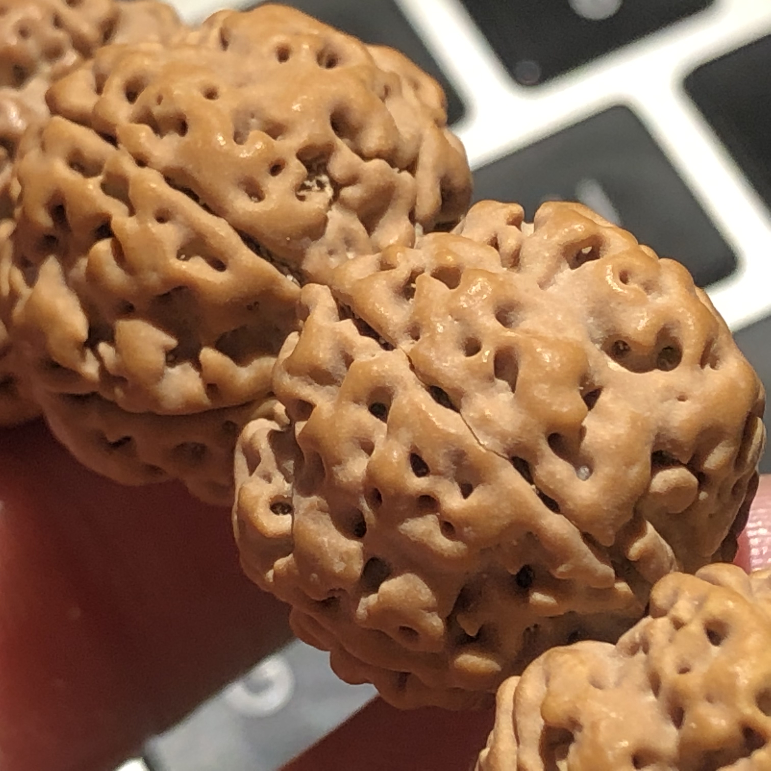 足够霸气有面子,18年顶级蜂王金刚菩提子!