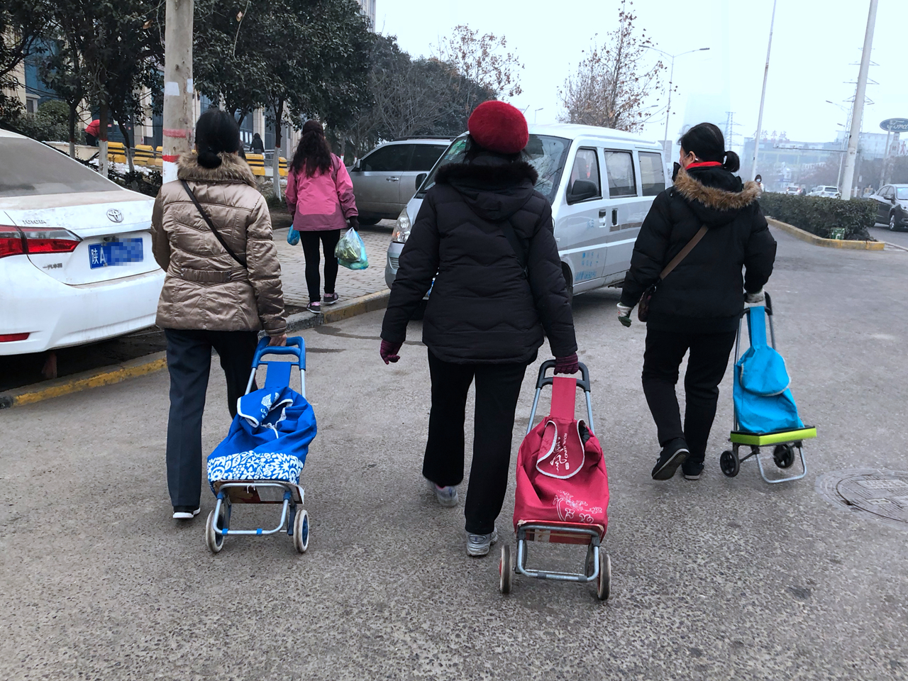 大妈坐18站车买菜说不远,公交成"老人专线"