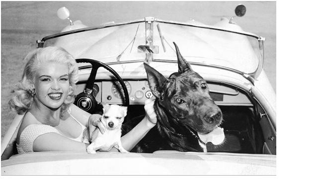 颜值不输奔驰s级,上市就打7折,被称"7折豹"网友:再等等!