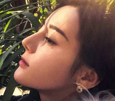 娱乐圈鼻子最好看的四位女明星,刘亦菲第二,第一你绝对想不到!