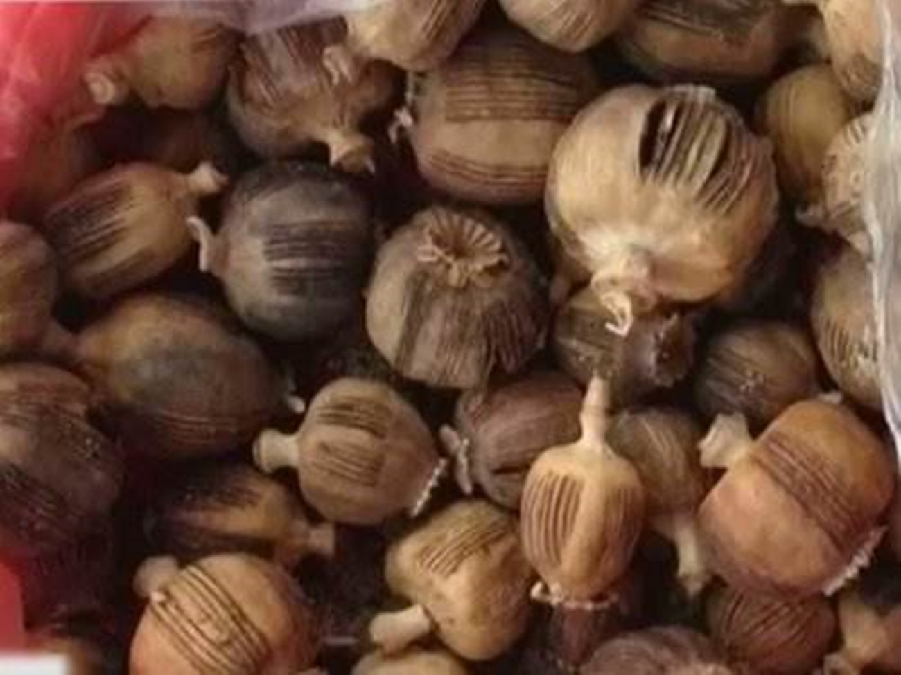 该商家并没有直接添加罂粟,而是掺杂了罂粟壳,如果正常人食用了罂粟壳