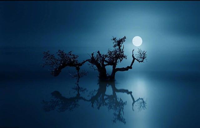 描写秋夜月光清冷,小园里残花飘落情景的上联:月冷花零落