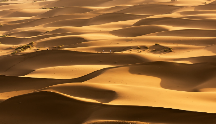 线性沙垄,有格状沙丘,新月形沙丘,金字塔形沙丘,线状沙丘等沙丘类型.