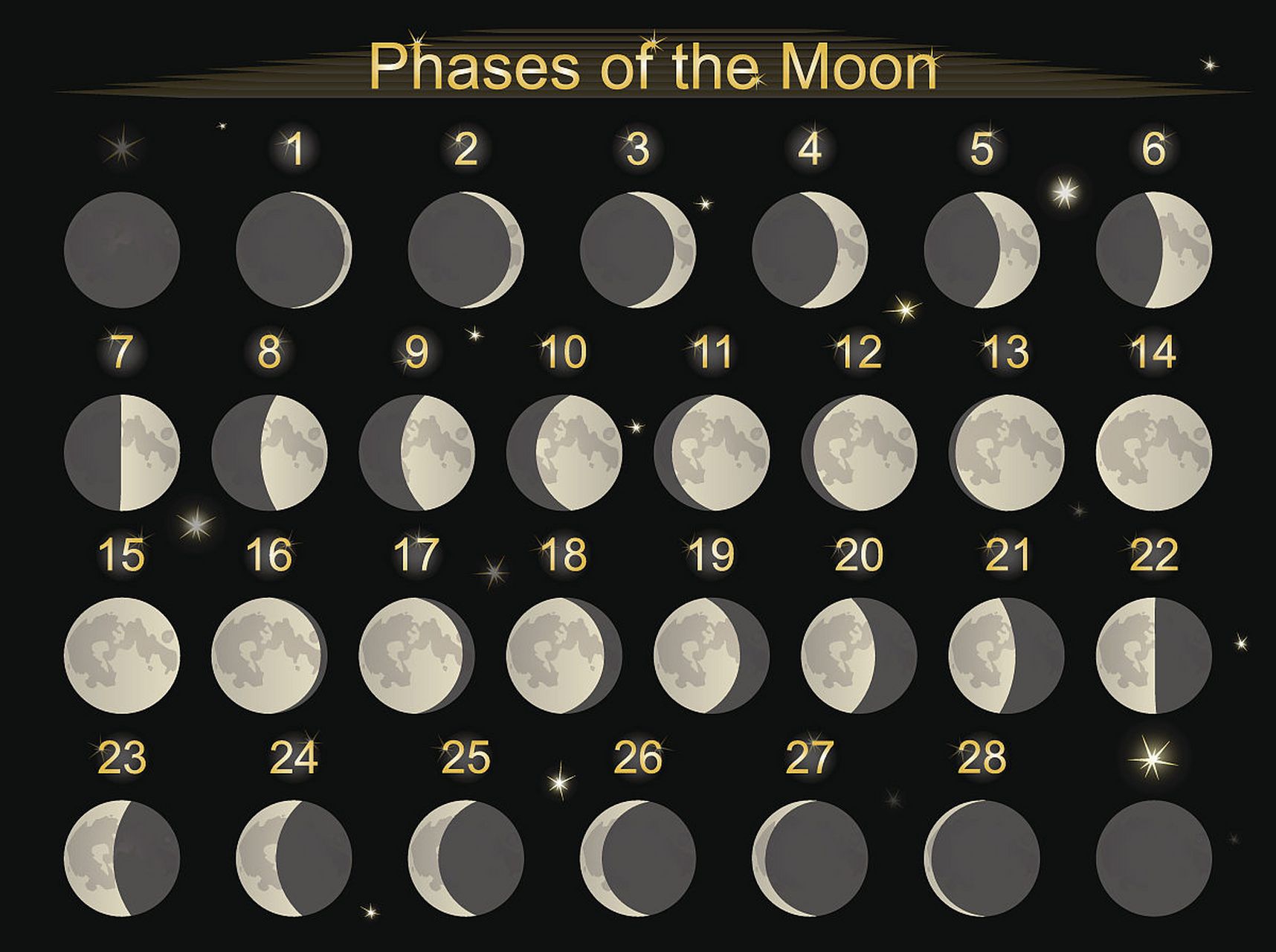 新月(初一) 月球近地面没有太阳光的反射,所以基本看不到月亮.