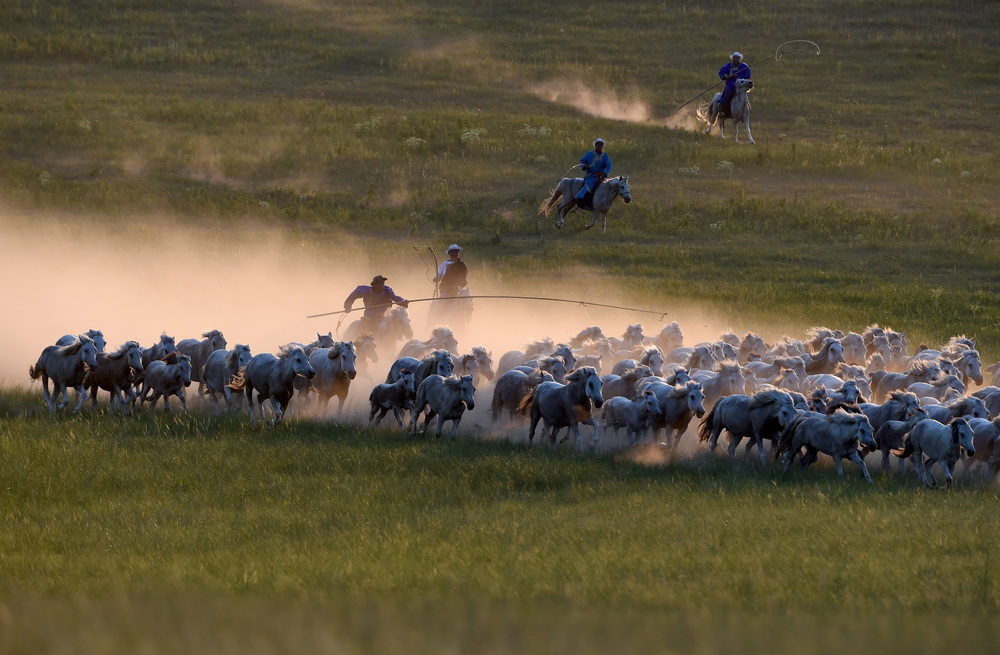 震撼!内蒙汉子演绎套马技艺,威武雄壮