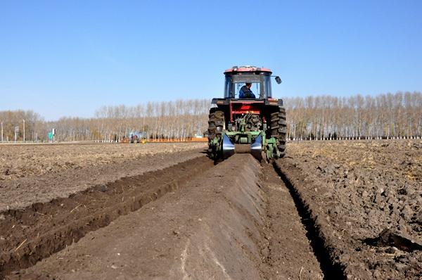 大兴农场秋筑埂打好明春提前量