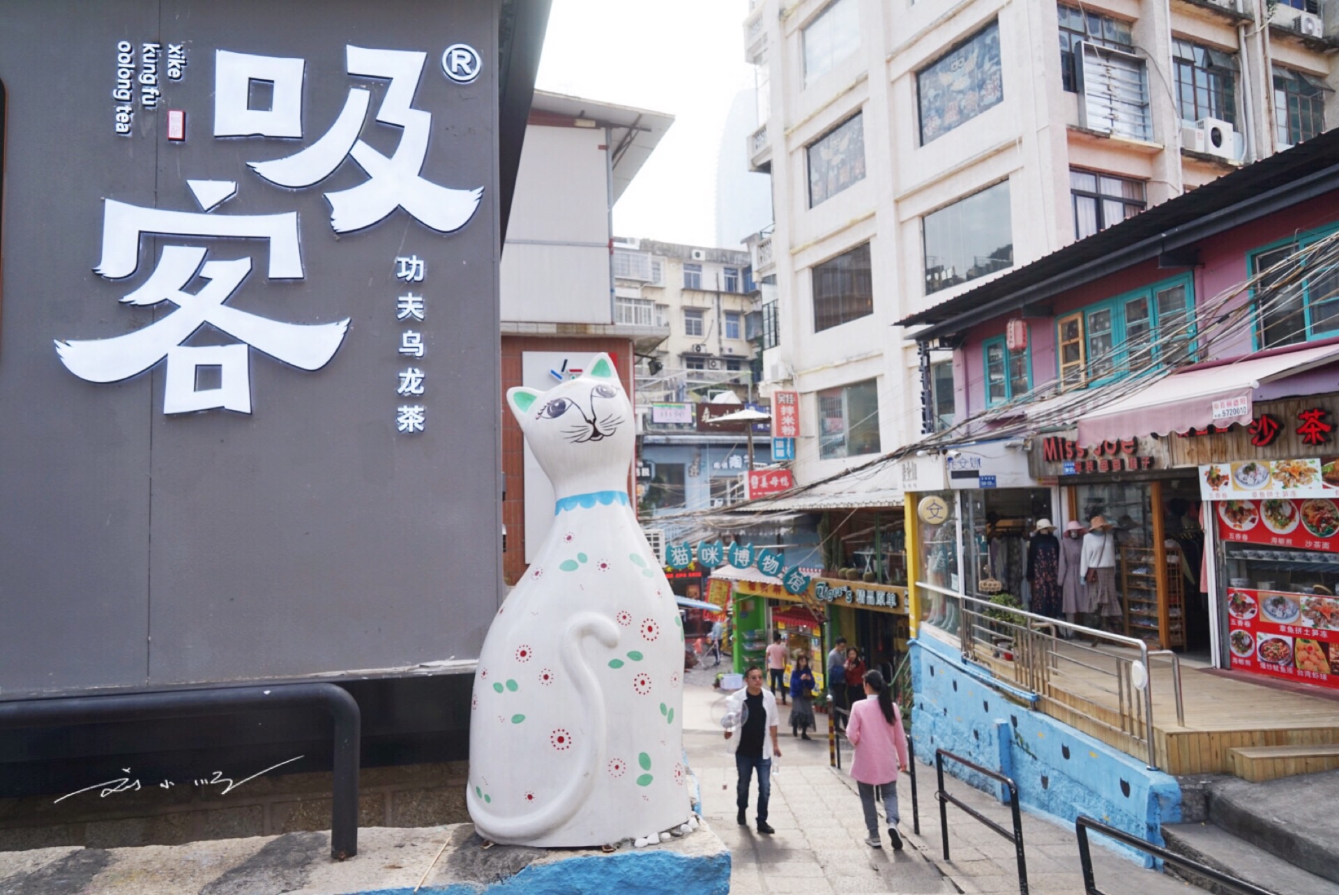 外地游客实拍厦门"网红"猫街,街上并没有猫,撸猫只能花钱撸