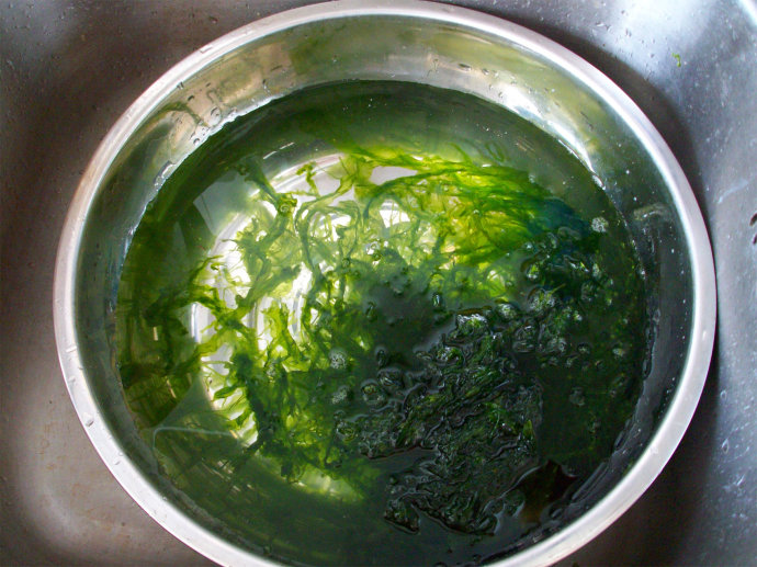 很多人忽视了这菜,5块钱一斤,补钙却是牛奶的5倍,是鸡蛋的10倍