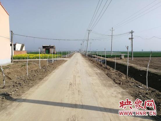 西华县奉母镇掀起春季植树高潮 打造花海园林