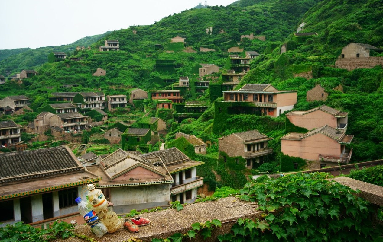 南方一村落修建大量豪宅却没人住,现在非常荒凉成了"绿色世界"