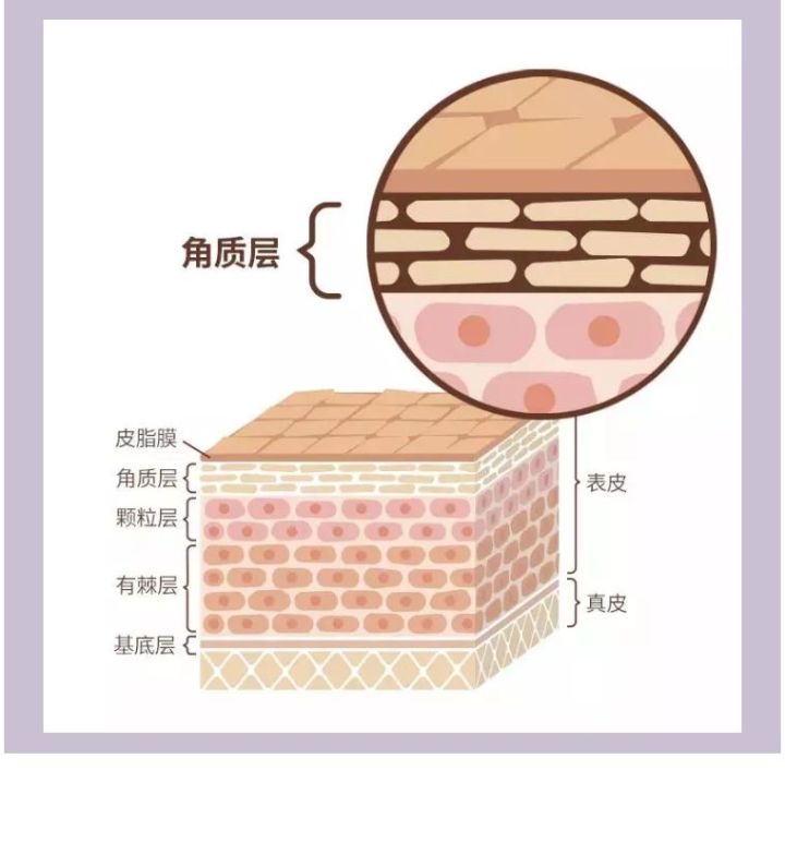 你的肌肤问题久治不愈?多半是角质层亮起了红灯!